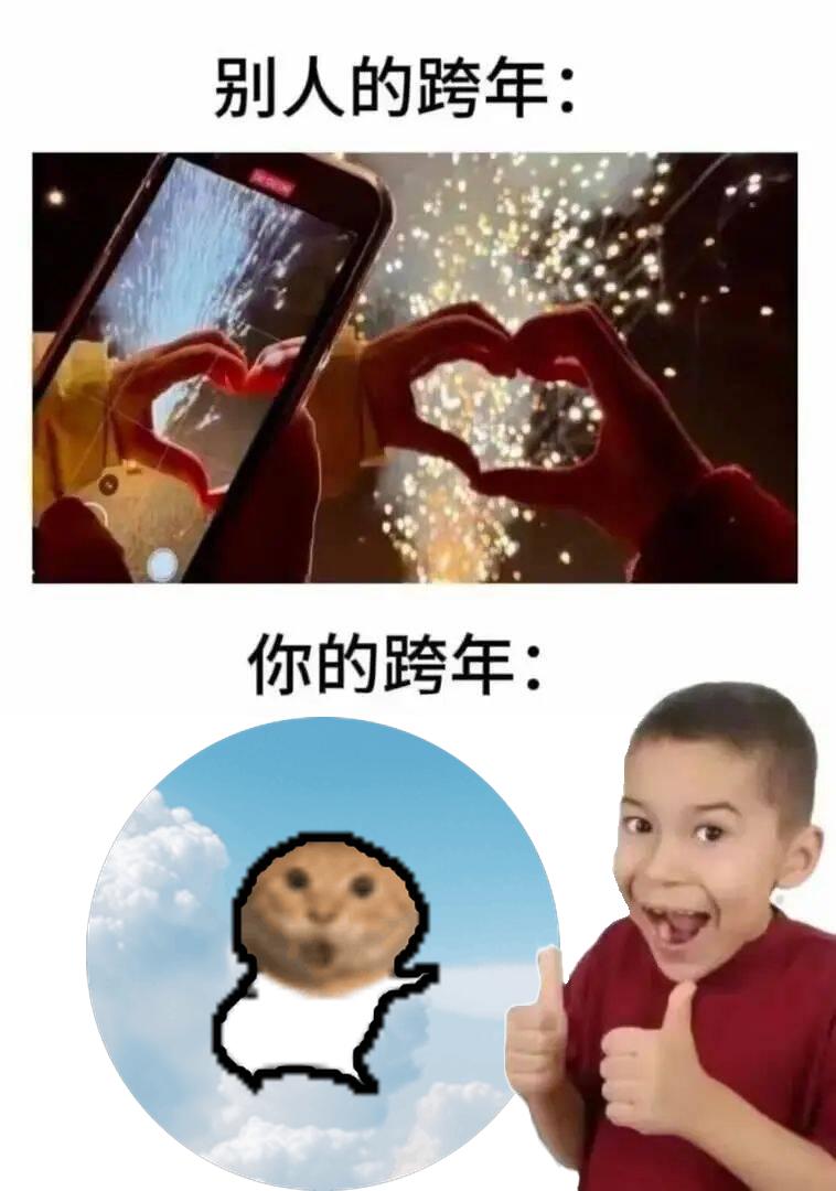 meme your_new_years_eve